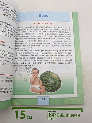 Окружающий мир. 3 класс. В двух частях. Часть 1