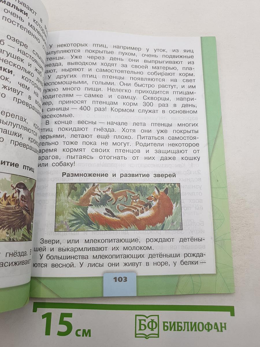 Окружающий мир. 3 класс. В двух частях. Часть 1