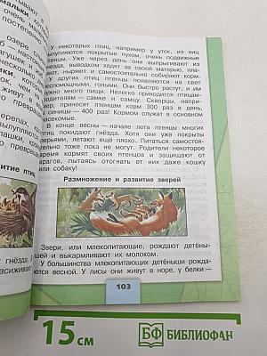Окружающий мир. 3 класс. В двух частях. Часть 1