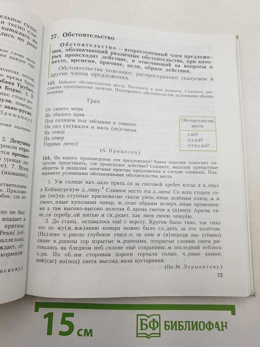 Русский язык. 8 класс