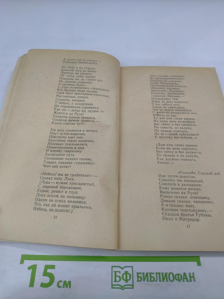 Кому на Руси жить хорошо; Мороз, Красный нос