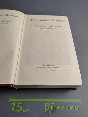 Собрание сочинений. Том шестой. Лениниана