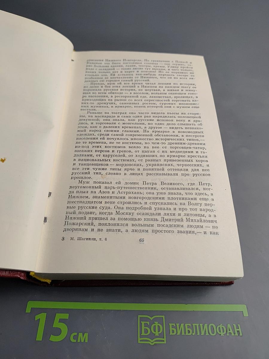 Собрание сочинений. Том шестой. Лениниана