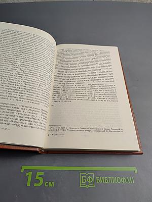 Когда на нас глядит поэт...