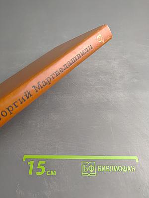 Когда на нас глядит поэт...