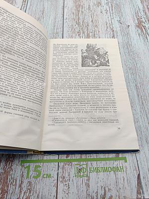 История одного города