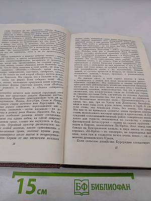 Собрание сочинений. Том пятый. Зарубежные письма
