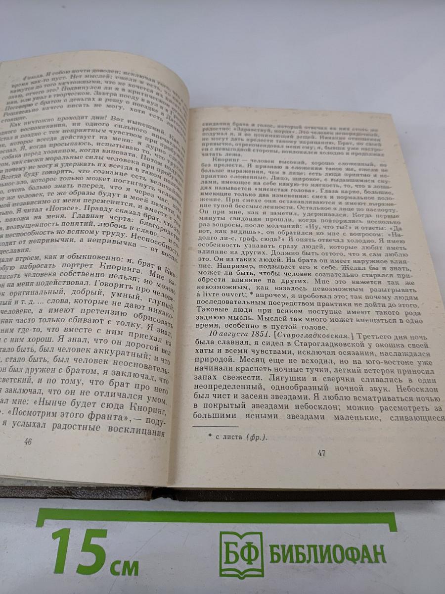Дневники 1847-1894. Том двадцать первый