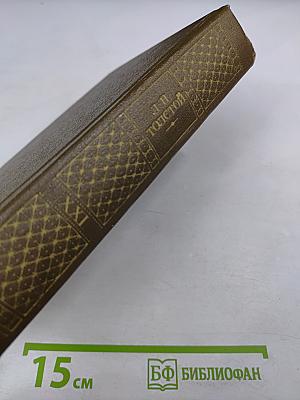 Дневники 1847-1894. Том двадцать первый