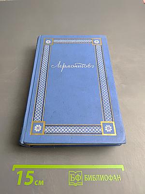 Полное собрание сочинений. Том 4: Проза и мысли