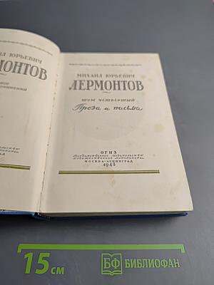 Полное собрание сочинений. Том 4: Проза и мысли