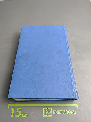 Полное собрание сочинений. Том 4: Проза и мысли