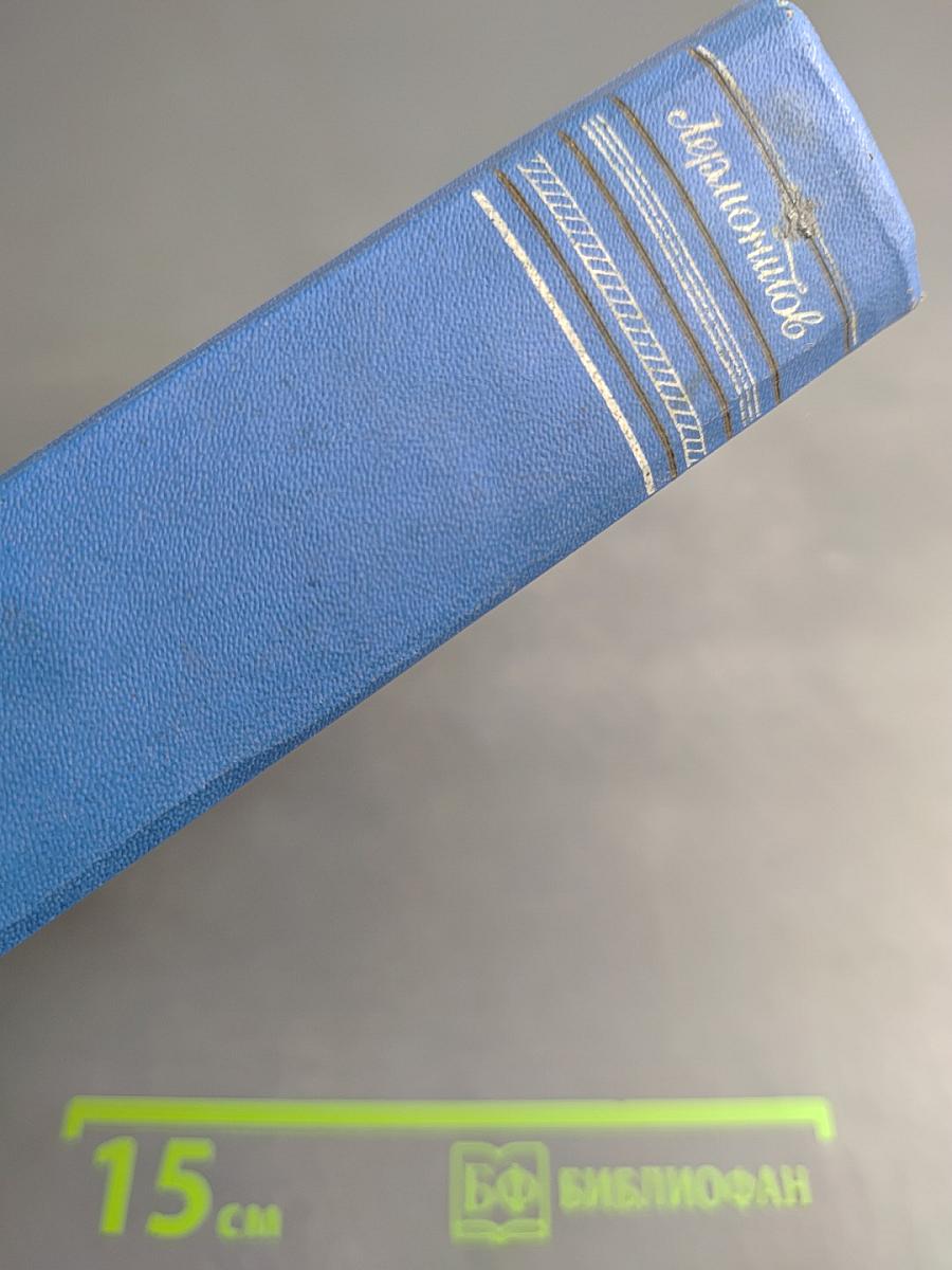 Полное собрание сочинений. Том 4: Проза и мысли