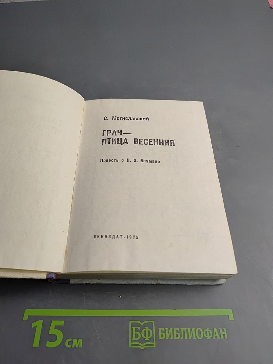 Грач — птица весенняя