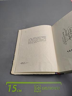 Грач — птица весенняя