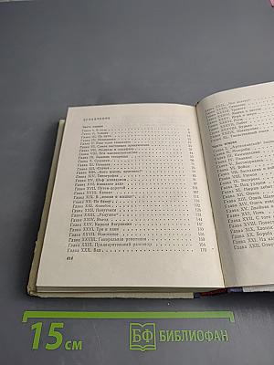 Грач — птица весенняя