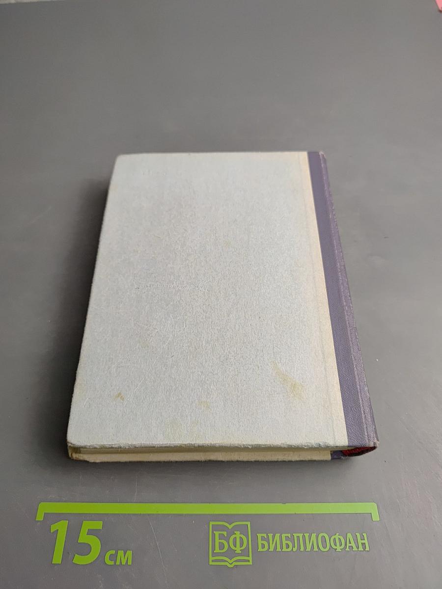 Грач — птица весенняя