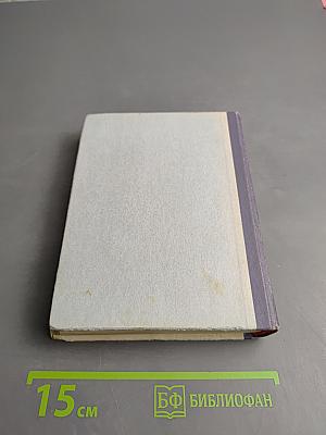 Грач — птица весенняя