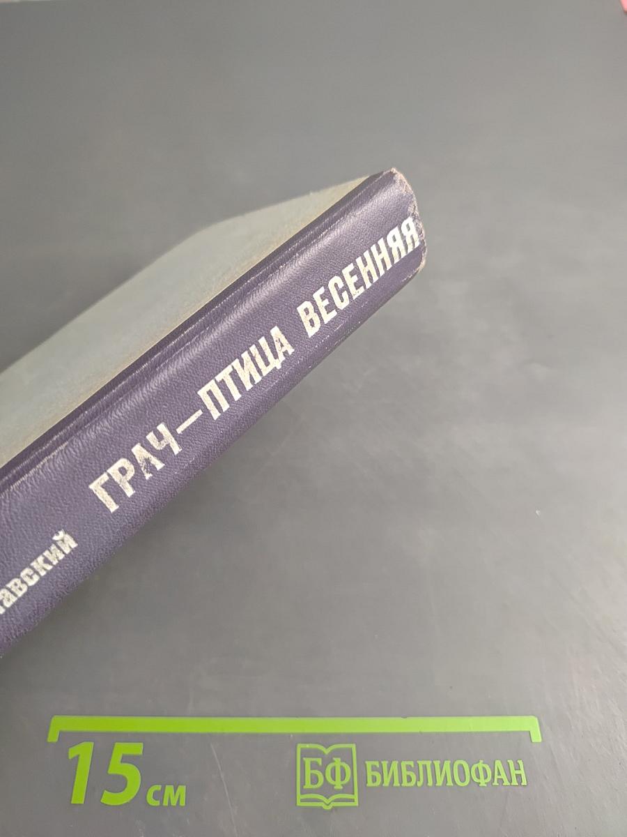 Грач — птица весенняя