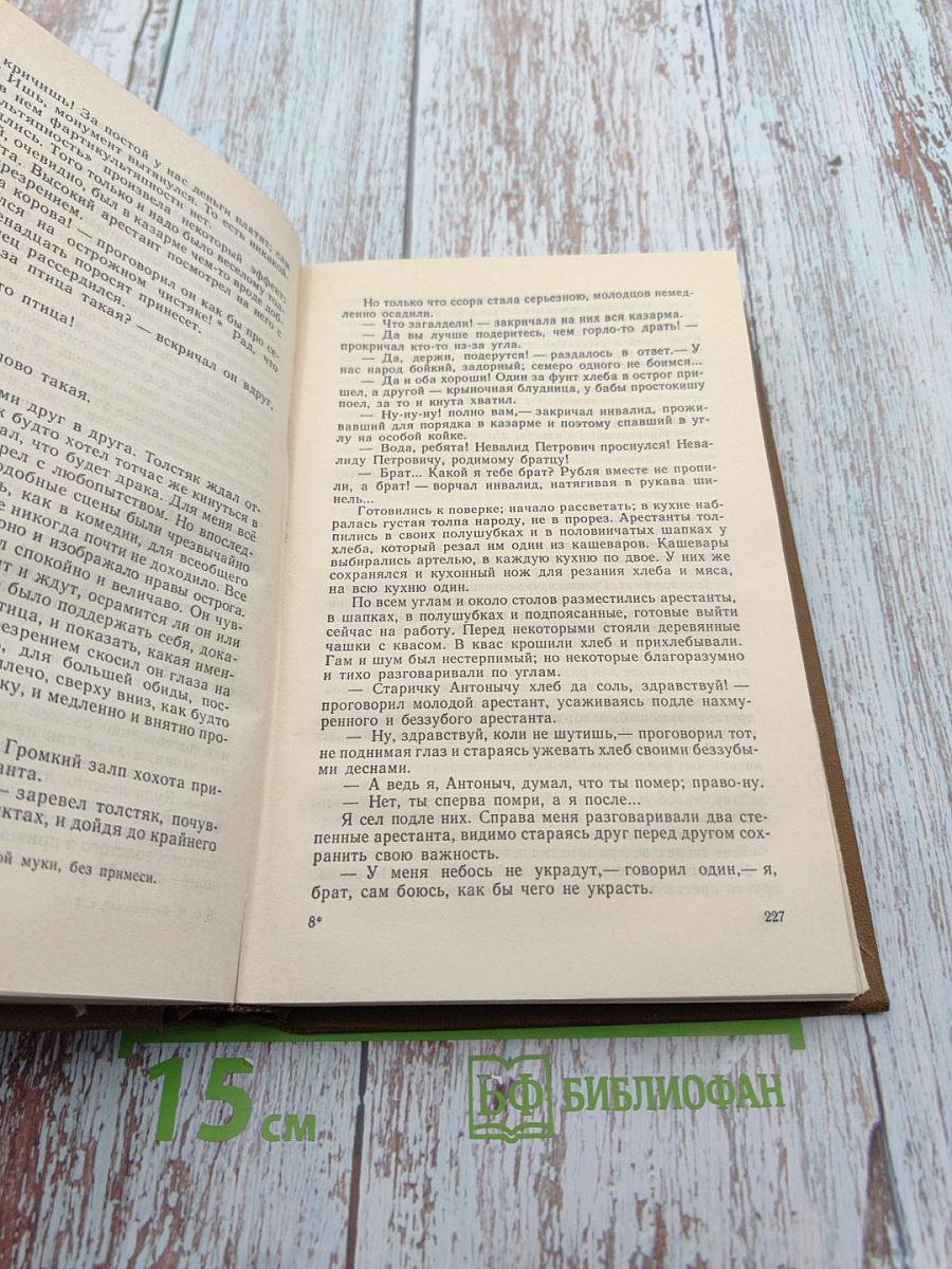 Ф.М. Достоевский. Том 3: Село Степанчиково и его обитатели. Записки из мертвого дома. Петербургские сновидения в стихах и прозе