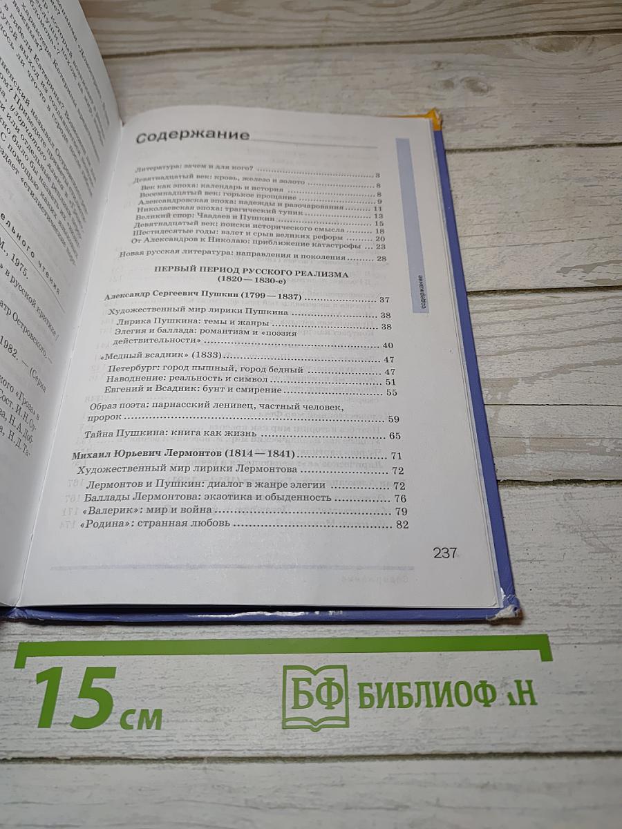 Русский язык и литература. Литература