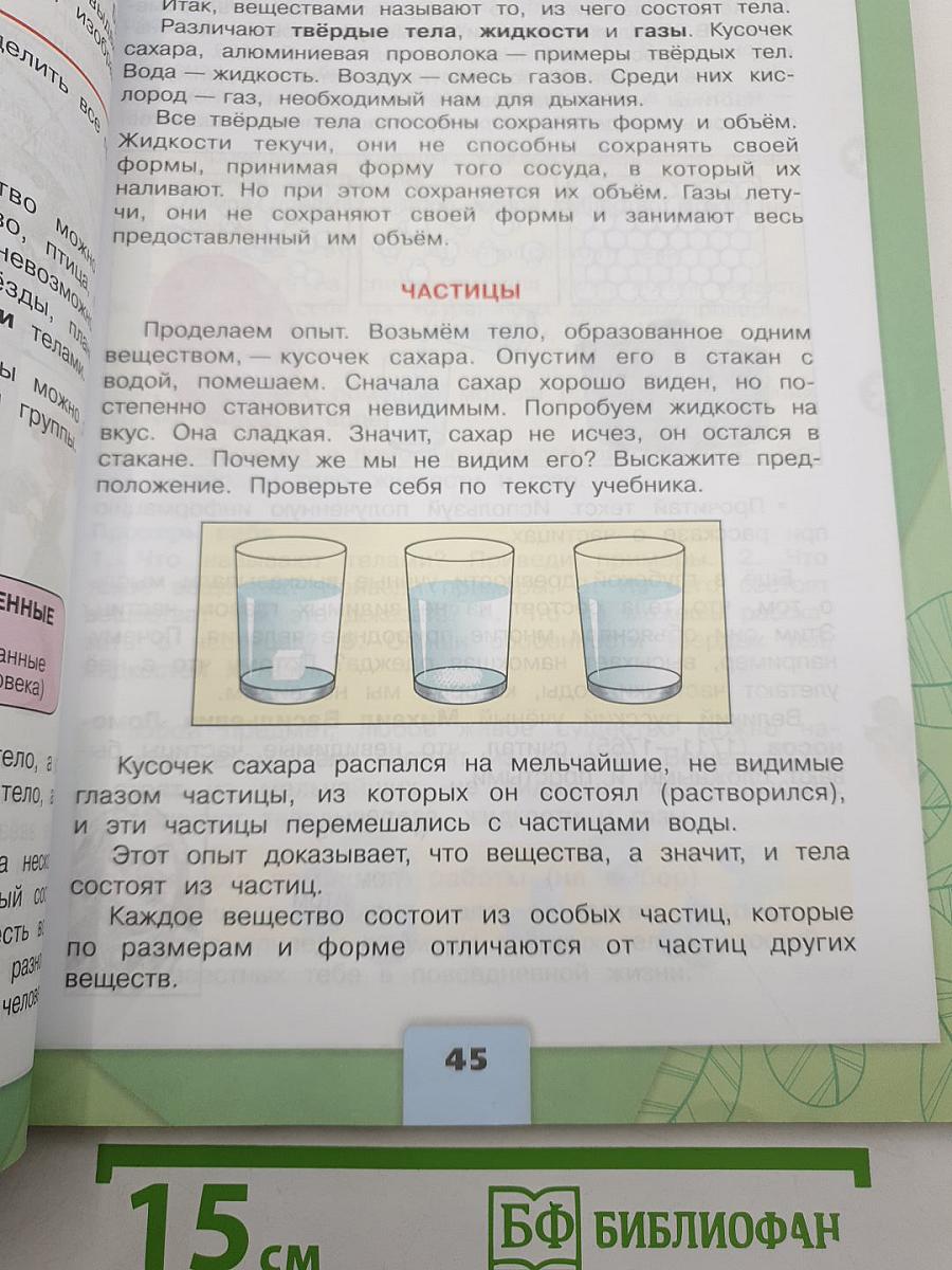 Окружающий мир