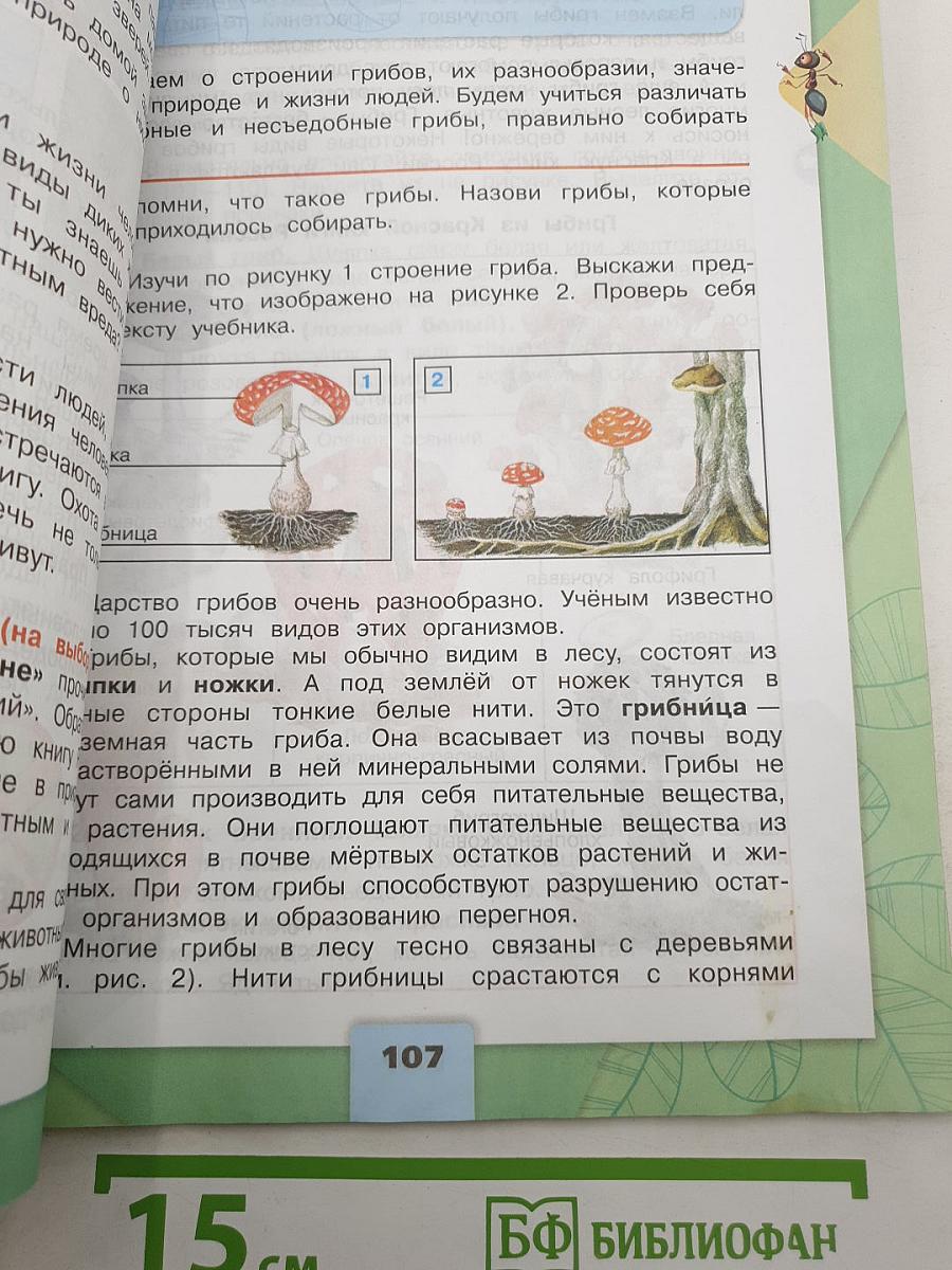 Окружающий МИР. 3 класс. Часть 1