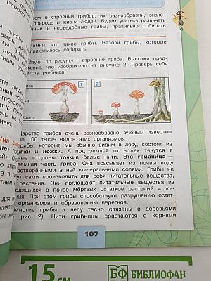Окружающий МИР. 3 класс. Часть 1