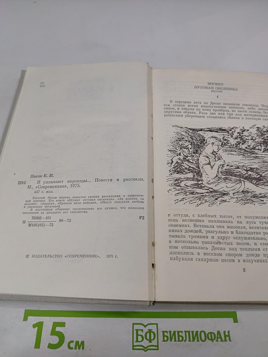 И уплывают пароходы...