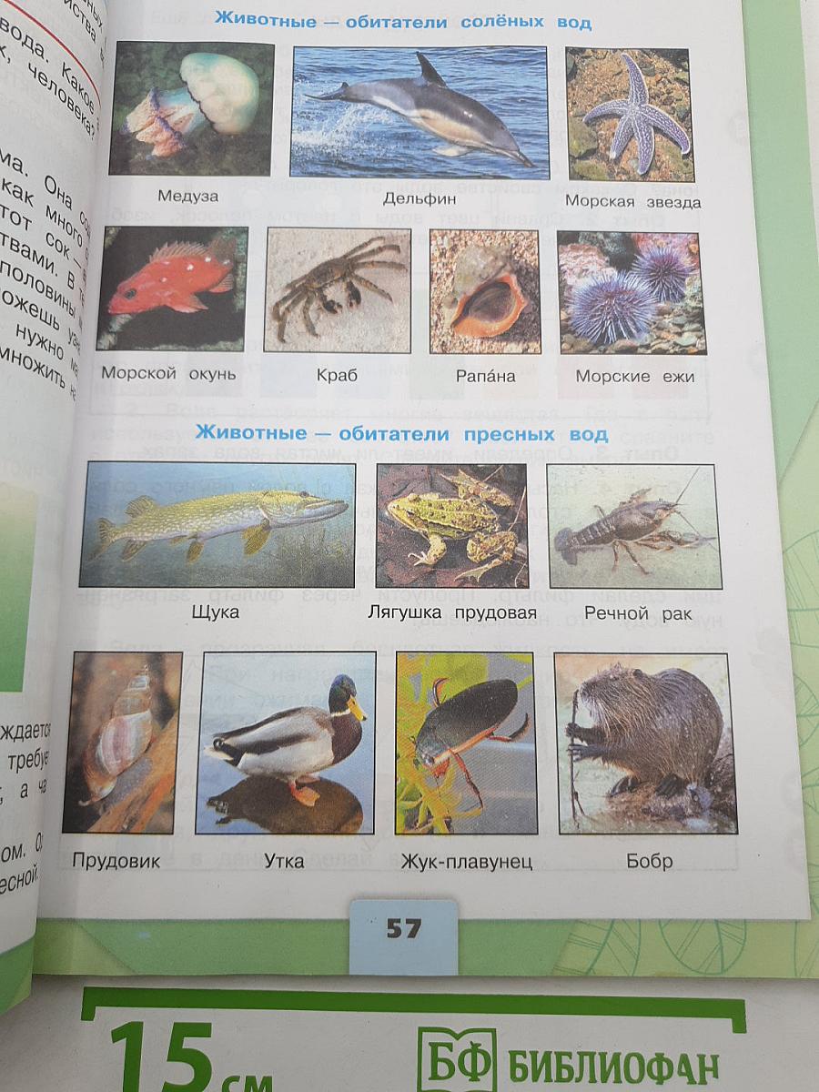 Окружающий мир. 3 класс. Часть 1