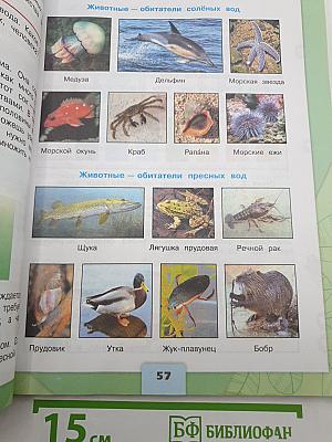 Окружающий мир. 3 класс. Часть 1