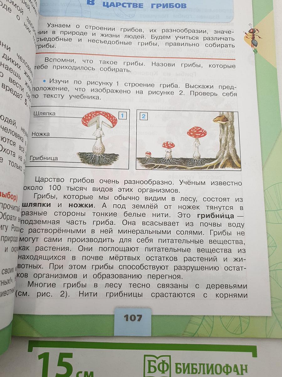 Окружающий мир. 3 класс. Часть 1
