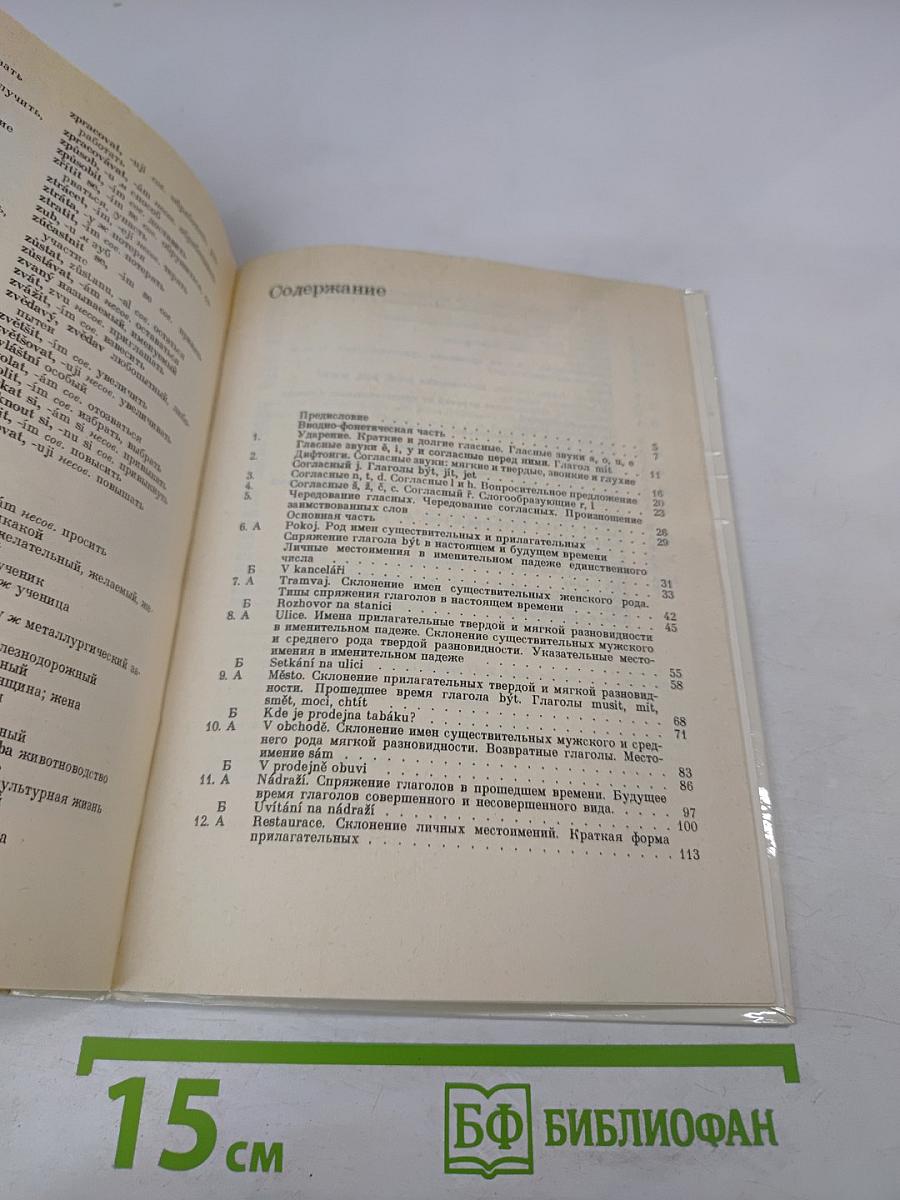 Чешский язык для русских