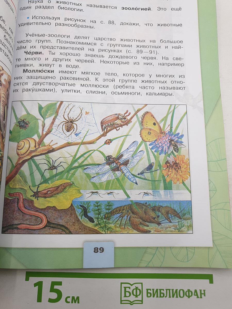 Окружающий мир