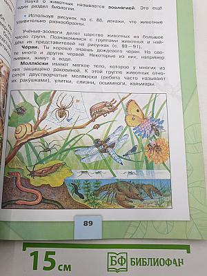 Окружающий мир