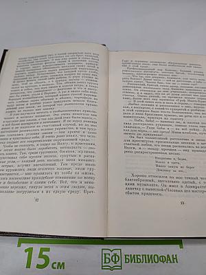 М. Горький. Том шестнадцатый. Повесть. Рассказы, очерки. Стихи. 1917-1924