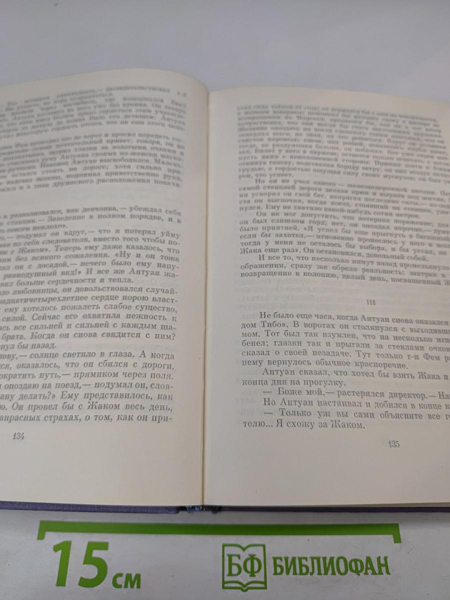 Семья Тибо. Том I