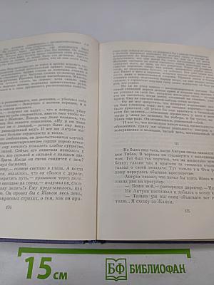 Семья Тибо. Том I