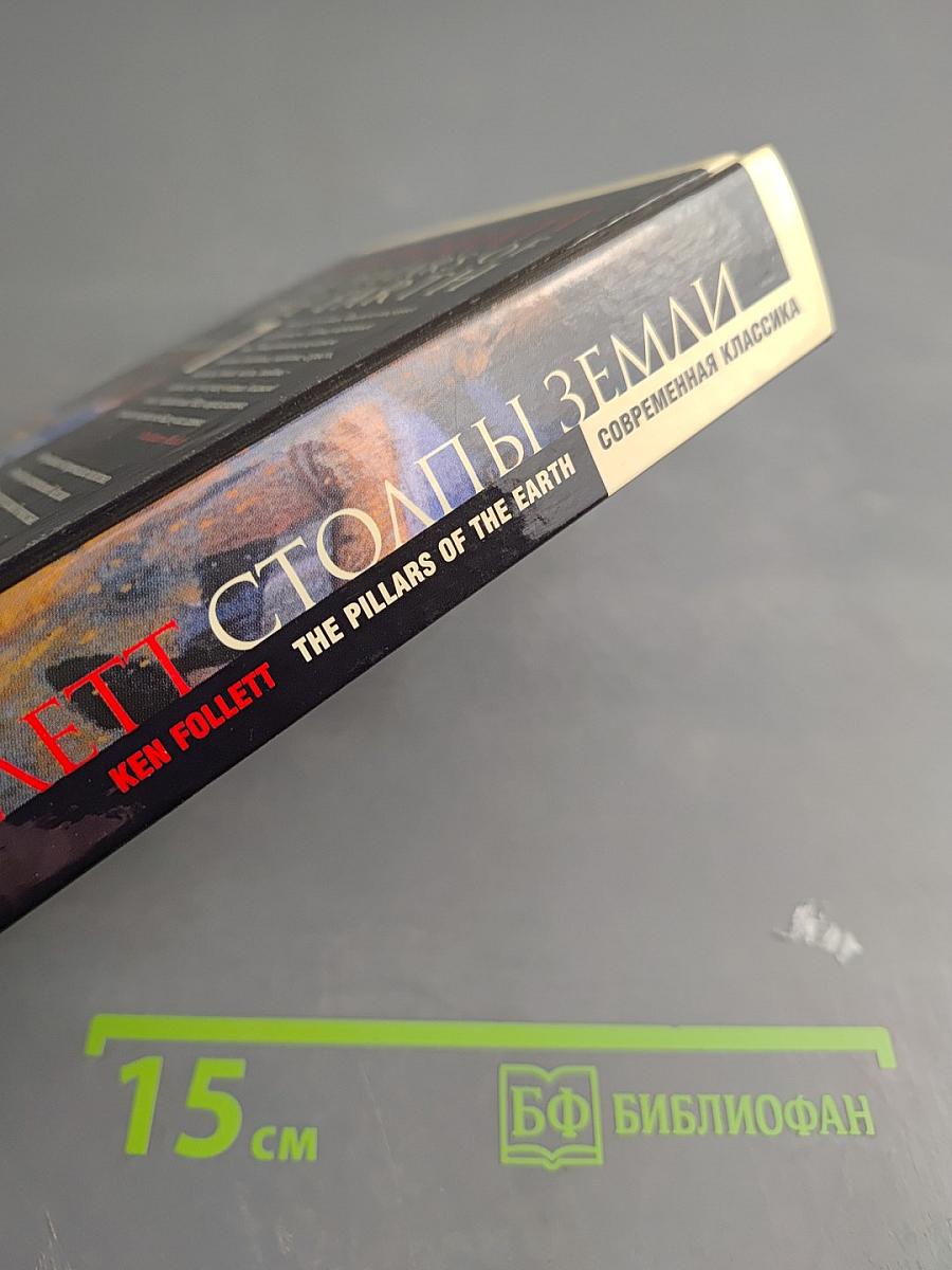 Столпы Земли. Книга вторая