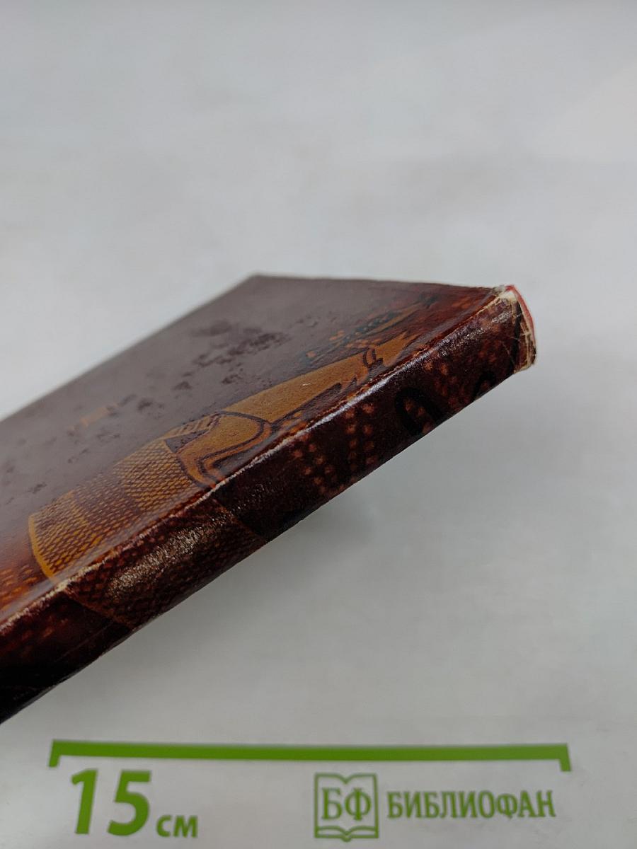 Поэзия Австралии