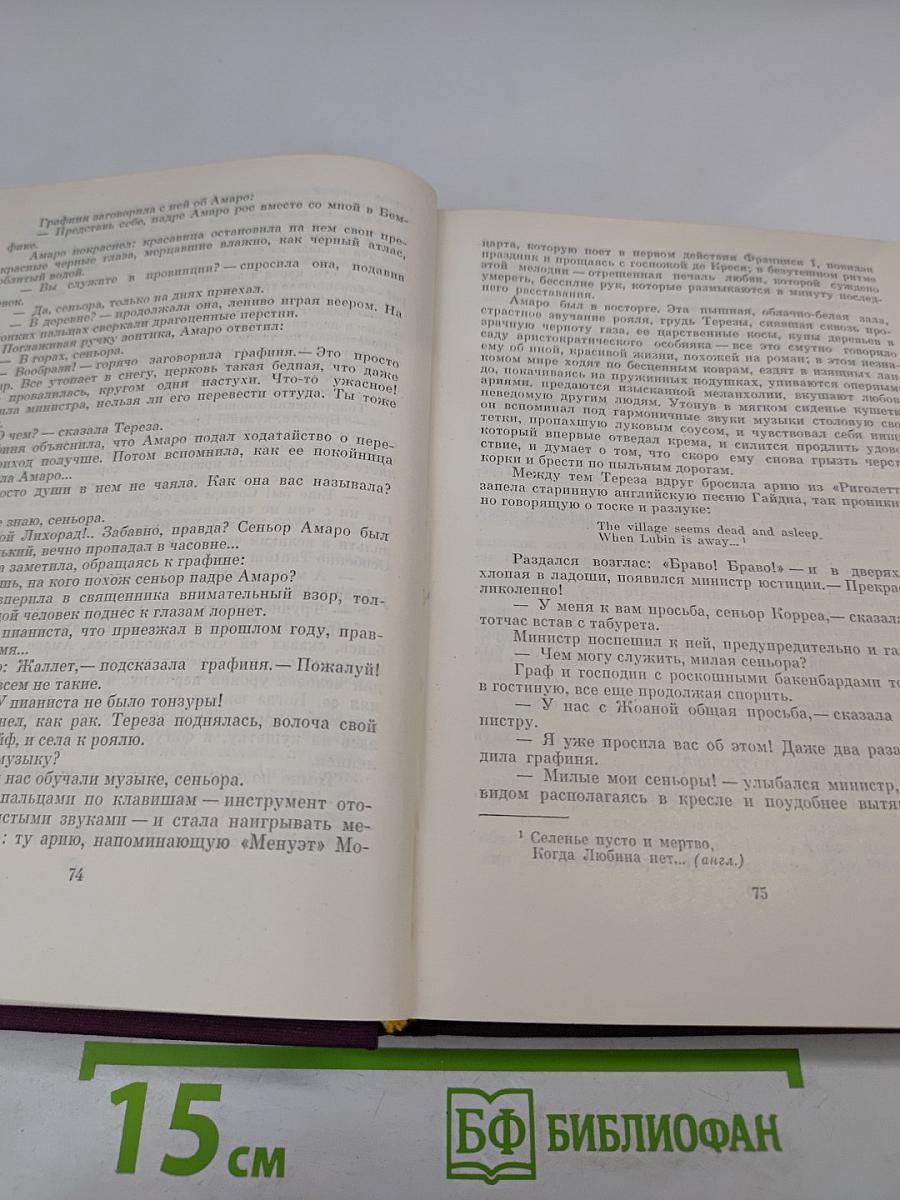 Преступление падре Амаро. Переписка Фрадике Мендеса