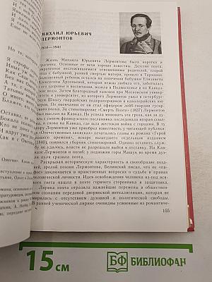 Литература 9 класс. Учебник-хрестоматия