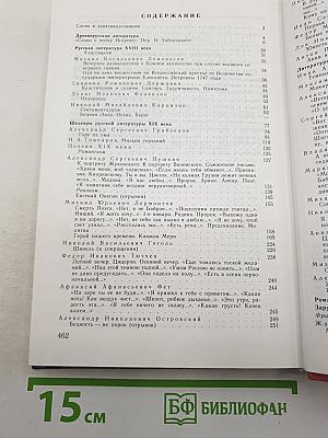 Литература 9 класс. Учебник-хрестоматия