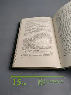 Собрание сочинений. Том 4. Рассказы 1886