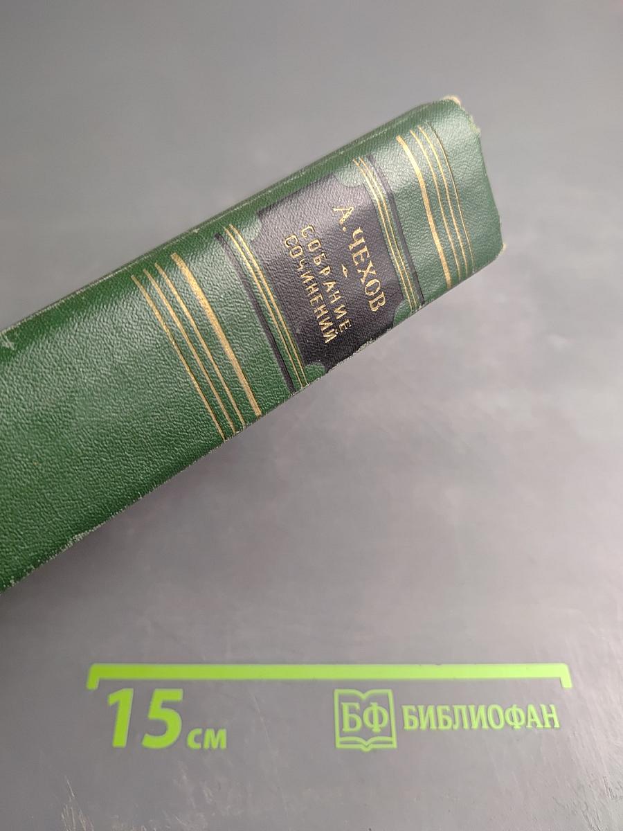 Собрание сочинений. Том 4. Рассказы 1886