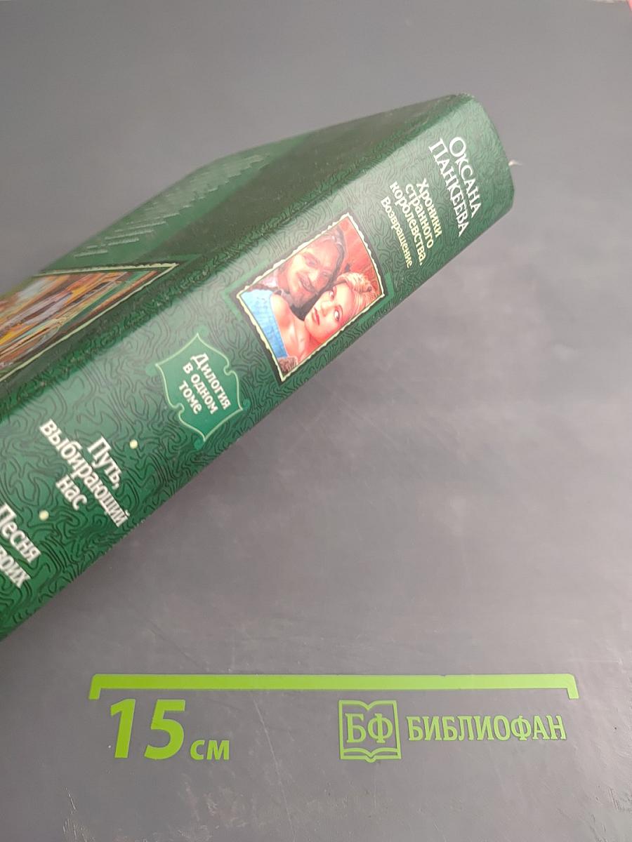 Хроники странного королевства. Возвращение. Путь, выбирающий нас. Песня на двоих