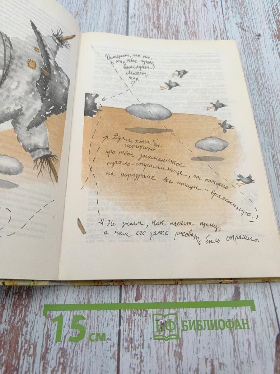 «Рима» отвечает на вопросы