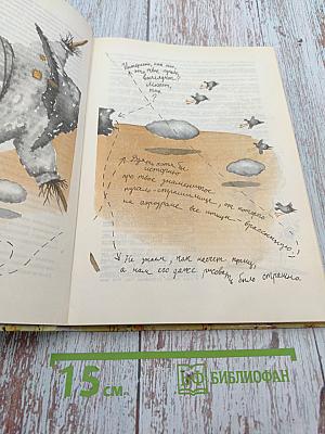 «Рима» отвечает на вопросы