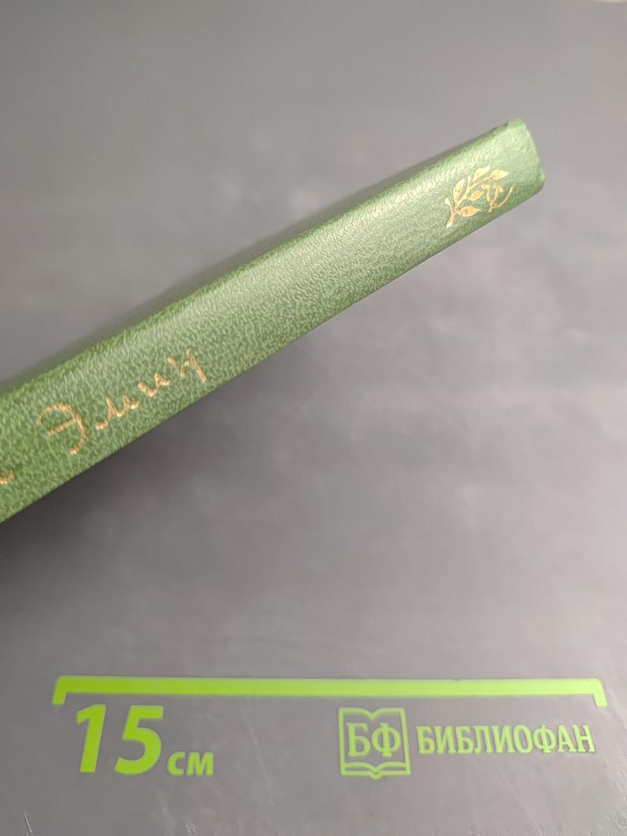 Век. Земля. Любовь