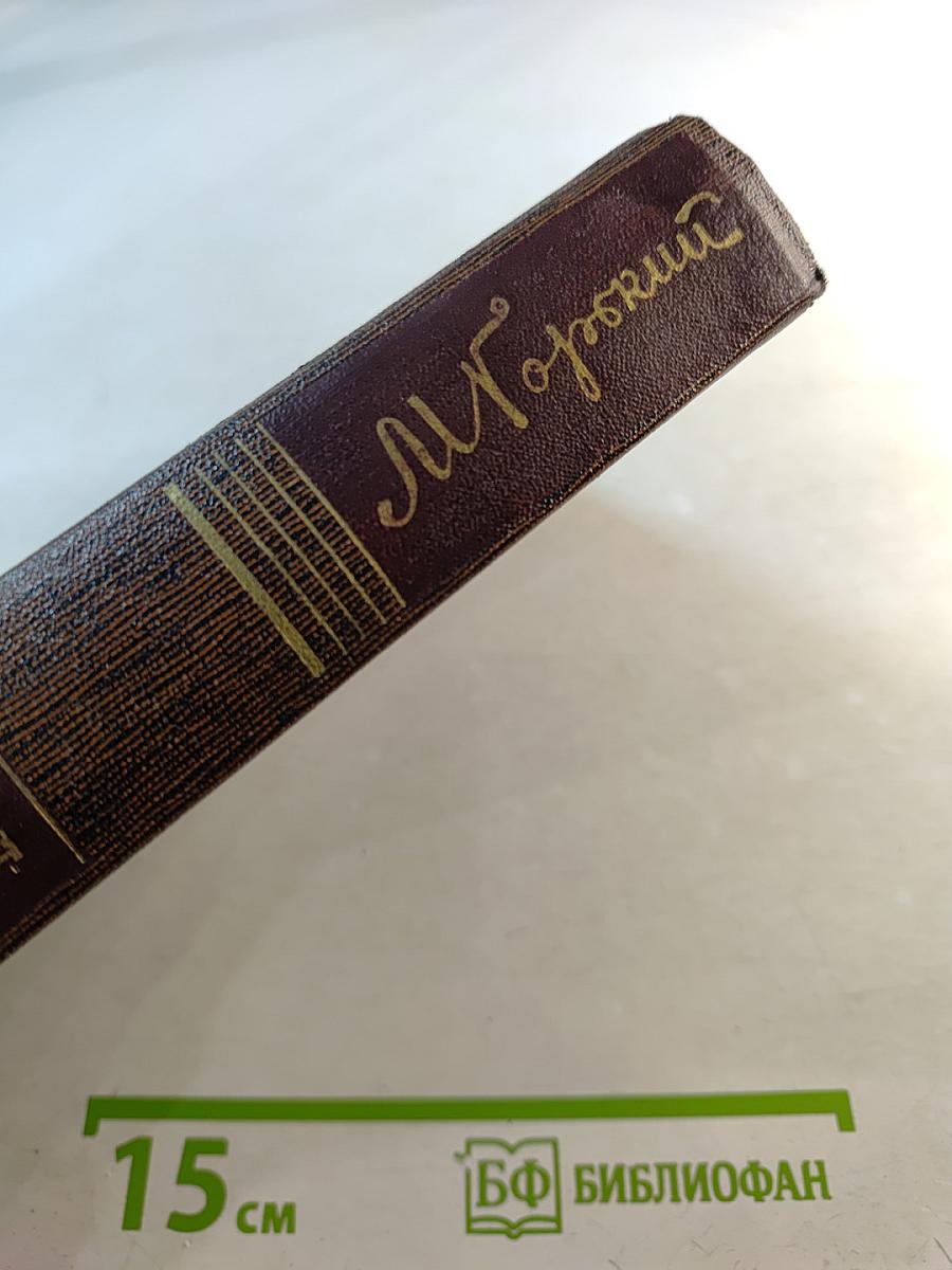 Жизнь Клима Самгина. Том двадцать пятый